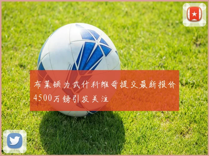 布莱顿为武什科维奇提交最新报价4500万镑引发关注